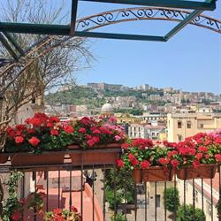 B&B Come d'incanto a Napoli, orari di apertura