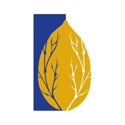 Studio Amondo, Cosenza orari di apertura
