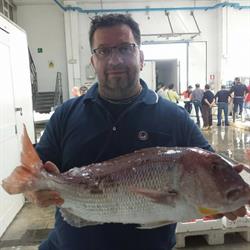 Pescheria De Cono, Policoro orari di apertura