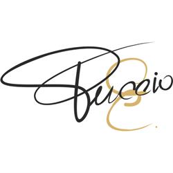 Enzo Puccio Wine Bar, Cassano d'Adda orari di apertura