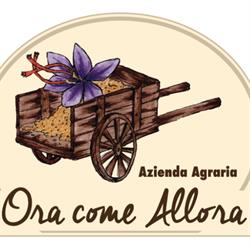 AZIENDA AGRARIA ORA COME ALLORA, Perugia orari di apertura