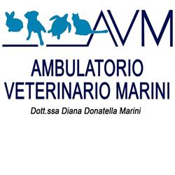 Ambulatorio Veterinario Marini Perugia, Mugnano - Orari di apertura