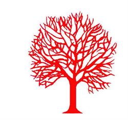 L'Albero Rosso, Napoli orari di apertura