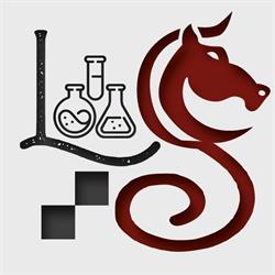 Laboratorio Scacchi, Trieste orari di apertura