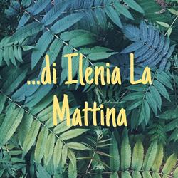ohana di ilenia la mattina, Palermo orari di apertura