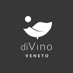 DiVino Veneto, San Bonifacio orari di apertura