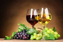 Azienda Agricola Piva Giuseppe di Cecchetto Anna Carla, Annone Veneto orari di apertura