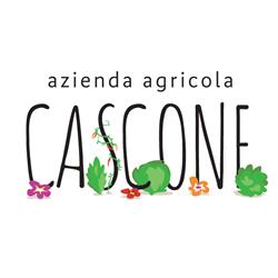 Azienda Agricola Cascone Annamaria, Eboli orari di apertura