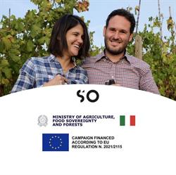 Azienda Agricola Stefano Occhetti, Monteu Roero orari di apertura