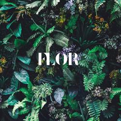 FLOR, Bologna orari di apertura