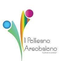 Pellicano arcobaleno, Milano orari di apertura