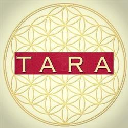 TARA, Cesenatico orari di apertura