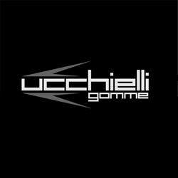 Ucchielli Gomme di Ucchielli Samuele & C. snc Vallefoglia, Sant'angelo In Lizzola - Orari di apertura