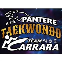 A.S.D. Pantere Taekwondo Team Carrara (sede centrale), Palermo orari di apertura