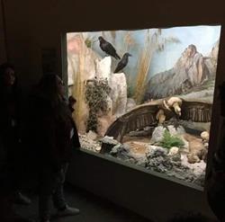 Museo di Scienze Naturali, Bronte orari di apertura