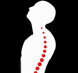 Rehactive - Centro di Fisioterapia, Massoterapia, Riabilitazione a Roma, orari di apertura