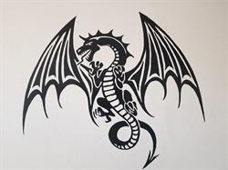 Dojo Black Dragon, La Maddalena orari di apertura