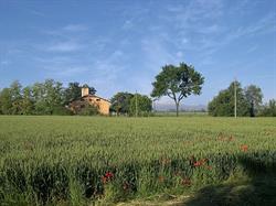 Casa della Carità di Cognento, Modena orari di apertura