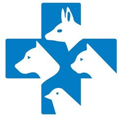 Ambulatorio Veterinario tirreno, Roma orari di apertura