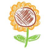 Sunflower Performance Training, Fossano orari di apertura