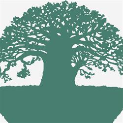 Baobab - Cooperativa Sociale I.So.La., Torino orari di apertura
