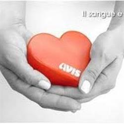 Avis Casalgrande OdV, orari di apertura