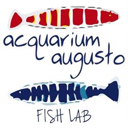 Acquarium Augusto Sushi Capri, orari di apertura
