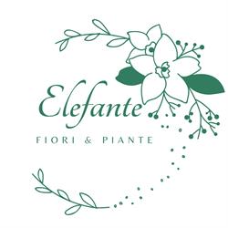 Elefante Fiori&Piante, Santa Maria la Carità orari di apertura