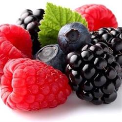 Il borgo dei frutti, Tresignana orari di apertura