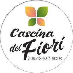 Vivaio Cascina dei fiori, Brandizzo orari di apertura