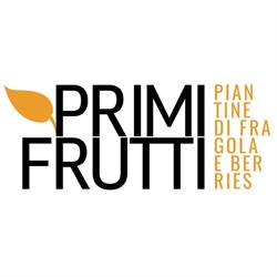 Primi Frutti Srl, Policoro orari di apertura