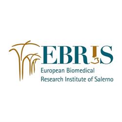 Fondazione Ebris, Salerno orari di apertura