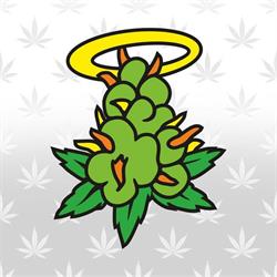 Holy Bud!, Marigliano orari di apertura