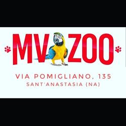 Mv Zoo, Sant'Anastasia orari di apertura