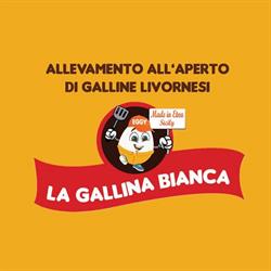 Uova fresche da allevamento all'aperto-La Gallina bianca, Belpasso orari di apertura