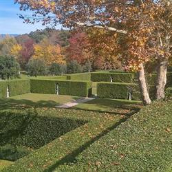 Treeclimbing Lucca Giardiniere D'oro, orari di apertura
