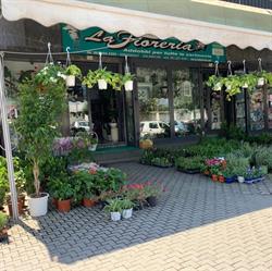 La Fioreria di Ambrosio A., Pomigliano d'Arco orari di apertura