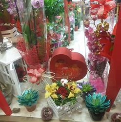 Piante e Fiori D'Agostino, Belmonte Mezzagno orari di apertura