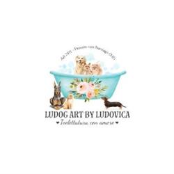 Ludog Art By Ludovica, Pessano con Bornago orari di apertura