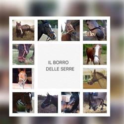 Il Borro Delle Serre A.S.D., Bagno a Ripoli orari di apertura
