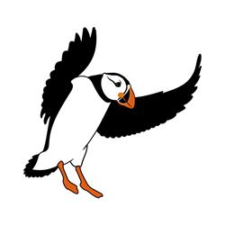 Puffin Bay, Mirano orari di apertura
