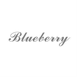 Blueberry, Pozzuoli orari di apertura