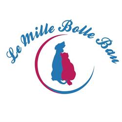 Le Mille Bolle Bau di Poggiaspalla Consuelo Colli al Metauro, Saltara - Orari di apertura
