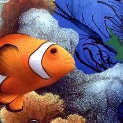 Hobby Acquario, Messina orari di apertura