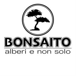 Bonsaito, Torino orari di apertura
