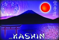 Kashin Karate Pullia, Messina orari di apertura