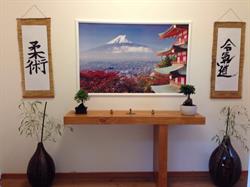 IL Dojo Sport & Discipline, Piane di Montegiorgio orari di apertura