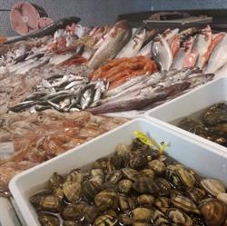 Scirocco Fish-Food, Vittoria orari di apertura