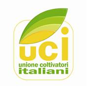CAF U.C.I. Piemonte Torino, orari di apertura