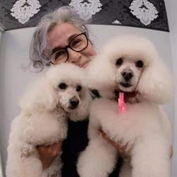 El Perro Lindo Toelettatura, Roma orari di apertura